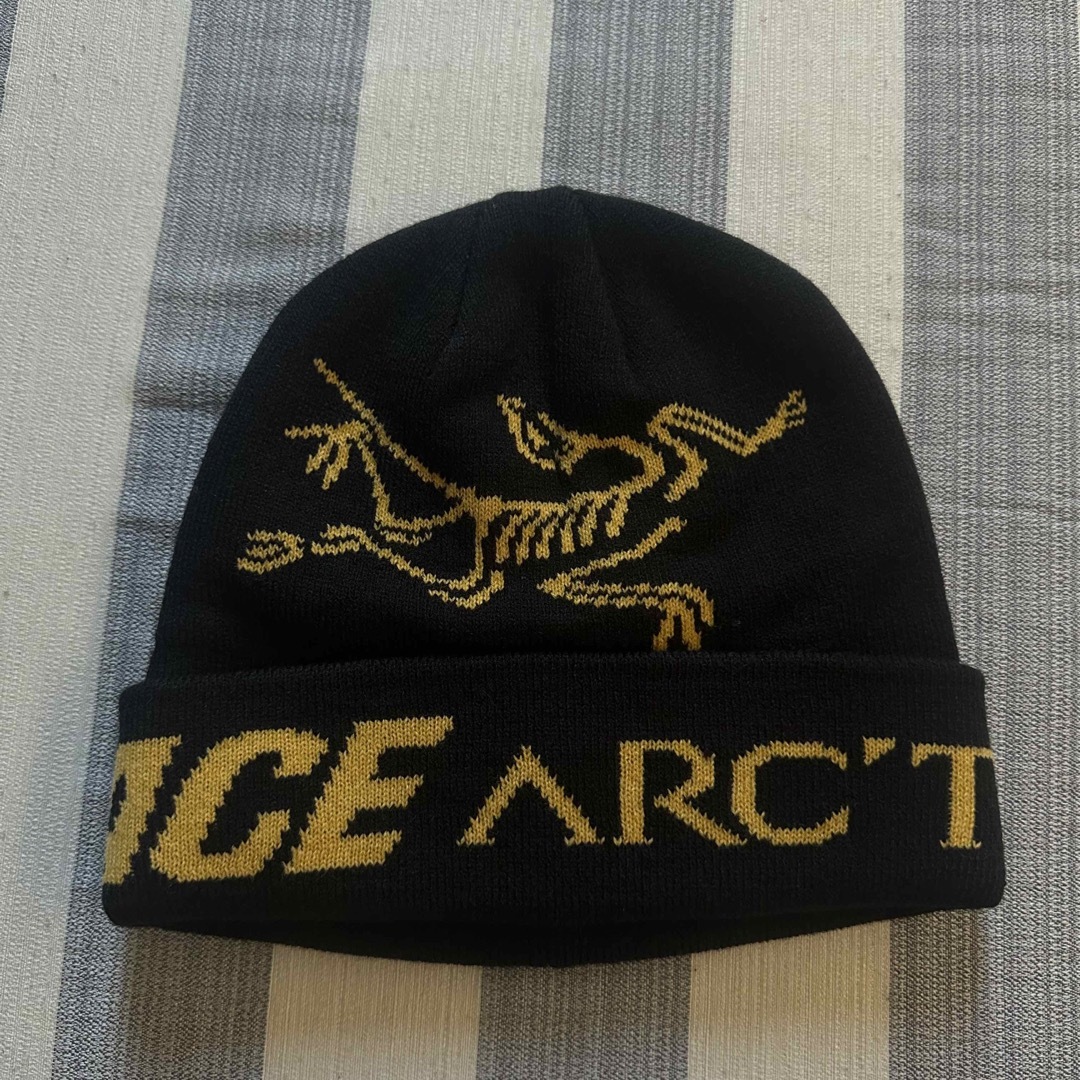最短当日発送 PALACE Arc´teryx アークテリクス コラボビーニー メンズ