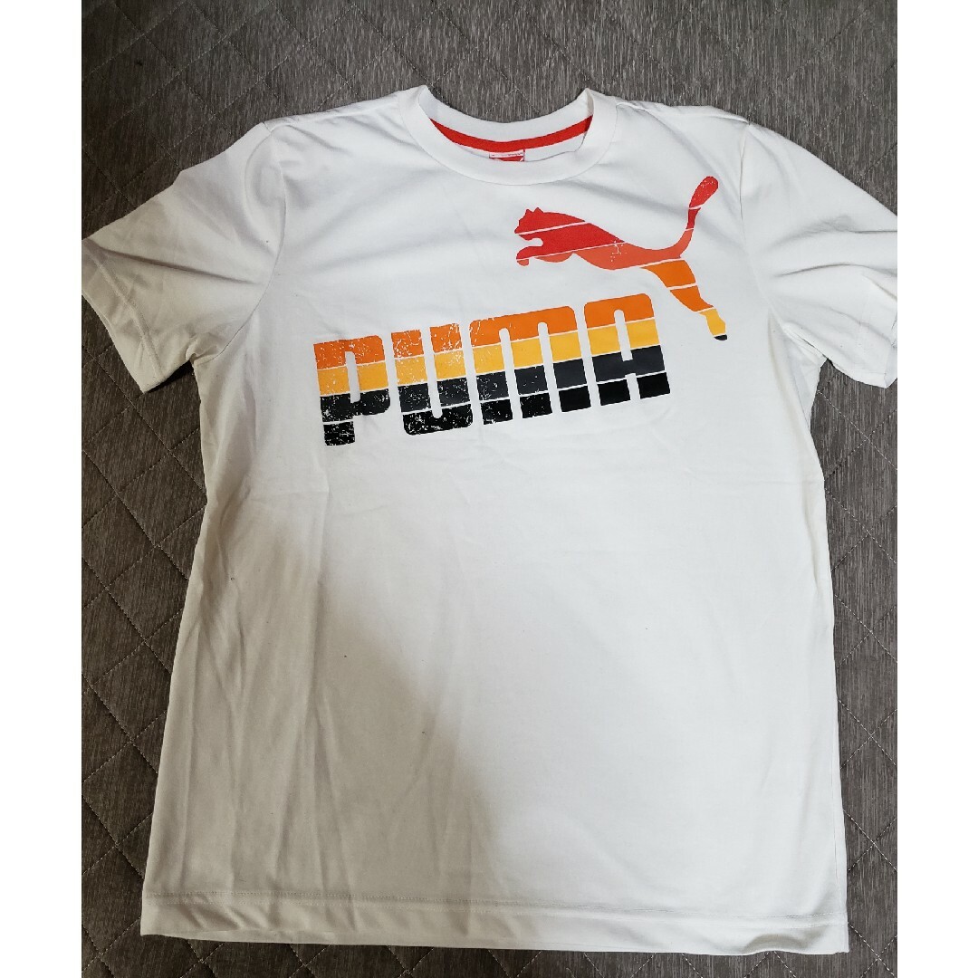 PUMA(プーマ)の🐆PUMATシャツ 6枚セット🐆 メンズのトップス(Tシャツ/カットソー(半袖/袖なし))の商品写真