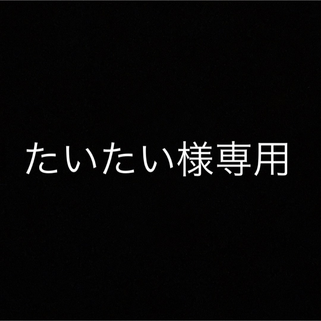 Wii(ウィー)のたいたい様専用 エンタメ/ホビーのゲームソフト/ゲーム機本体(家庭用ゲームソフト)の商品写真