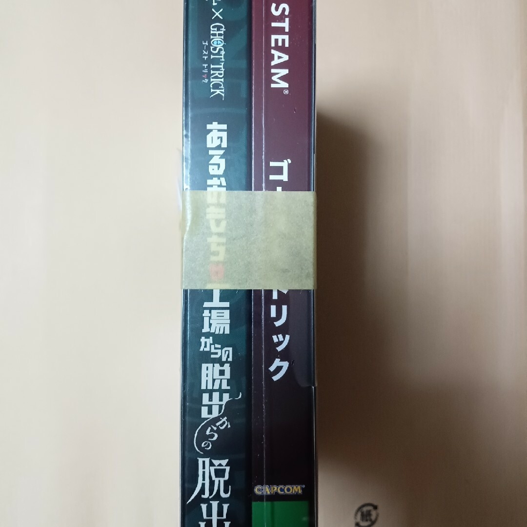 CAPCOM(カプコン)のカプコン｜CAPCOM ゴースト トリック 謎解きキット トリツキBOX Win エンタメ/ホビーのゲームソフト/ゲーム機本体(PCゲームソフト)の商品写真