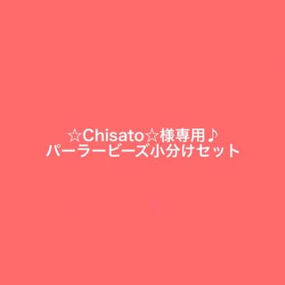 カワダ(Kawada)の☆Chisato☆様専用♪5mmアイロンビーズパーラービーズ小分けセット(知育玩具)