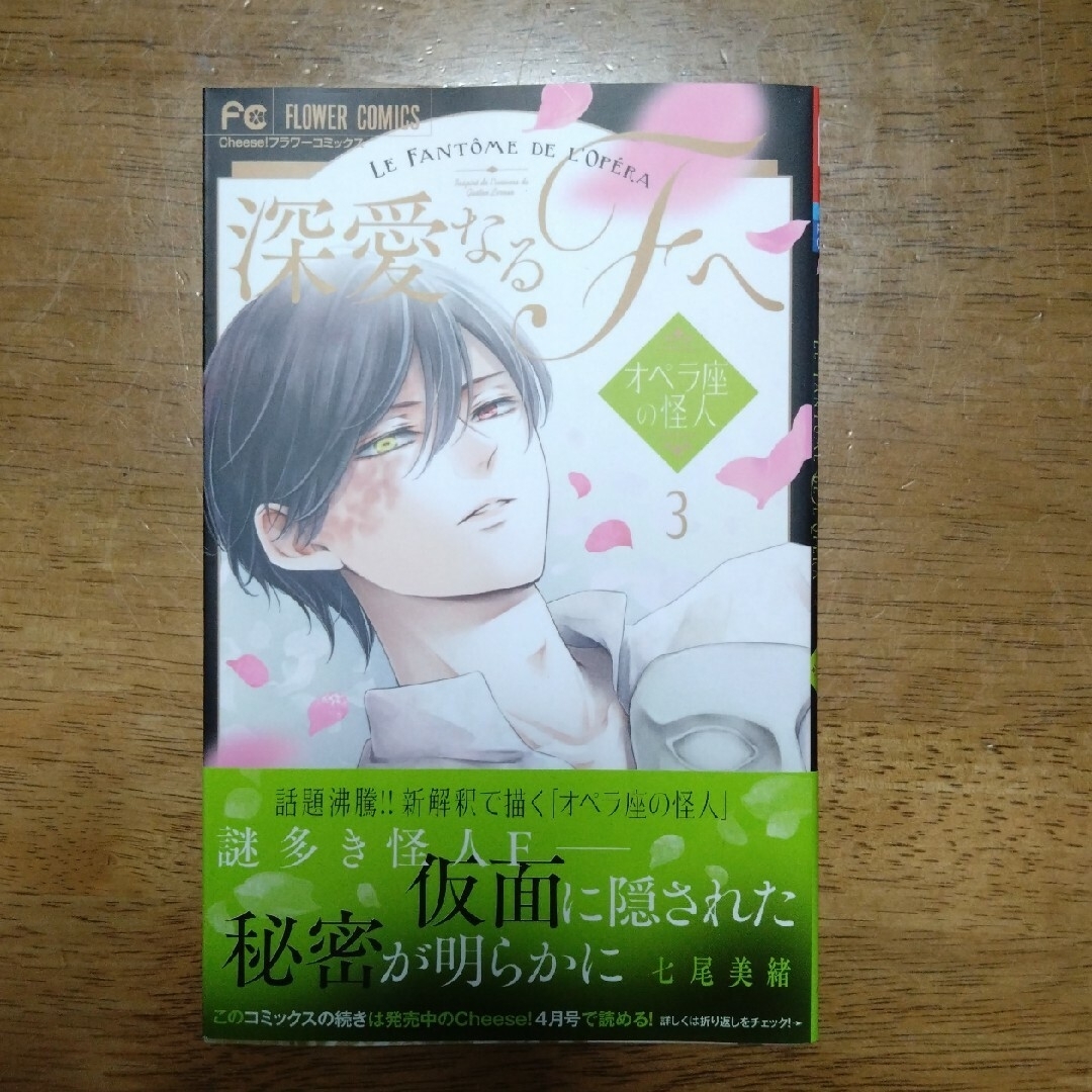 ゆぅゆぅさま専用　深愛なるＦへ オペラ座の怪人 ３巻セット