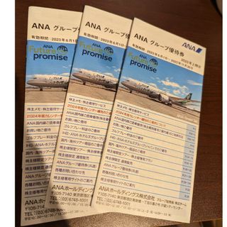 エーエヌエー(ゼンニッポンクウユ)(ANA(全日本空輸))のANA　グループ優待券(3冊)(航空券)