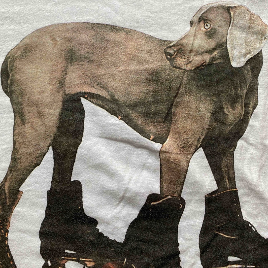 あいみょん着用 Tシャツ William Wegman Dog Tee XL | www.innoveering.net