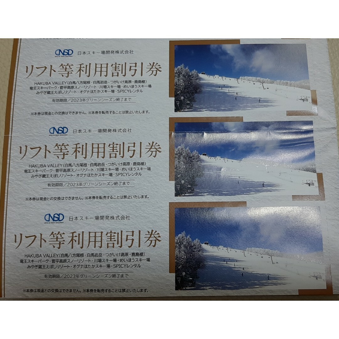 日本駐車場開発　株主優待　リフト等利用割引券 3枚 チケットの施設利用券(その他)の商品写真