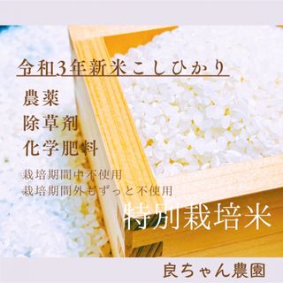 特別栽培米こしひかり栽培期間中農薬不使用(栽培期間外もずっと不使用)令和3年3合(米/穀物)