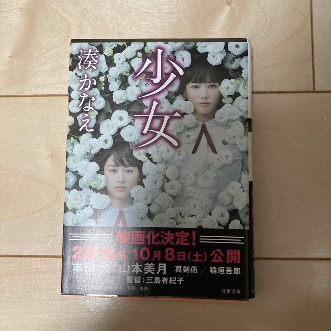 少女 エンタメ/ホビーの本(その他)の商品写真