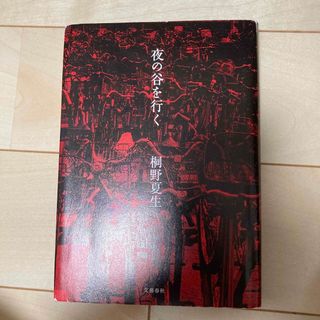 夜の谷を行く(文学/小説)