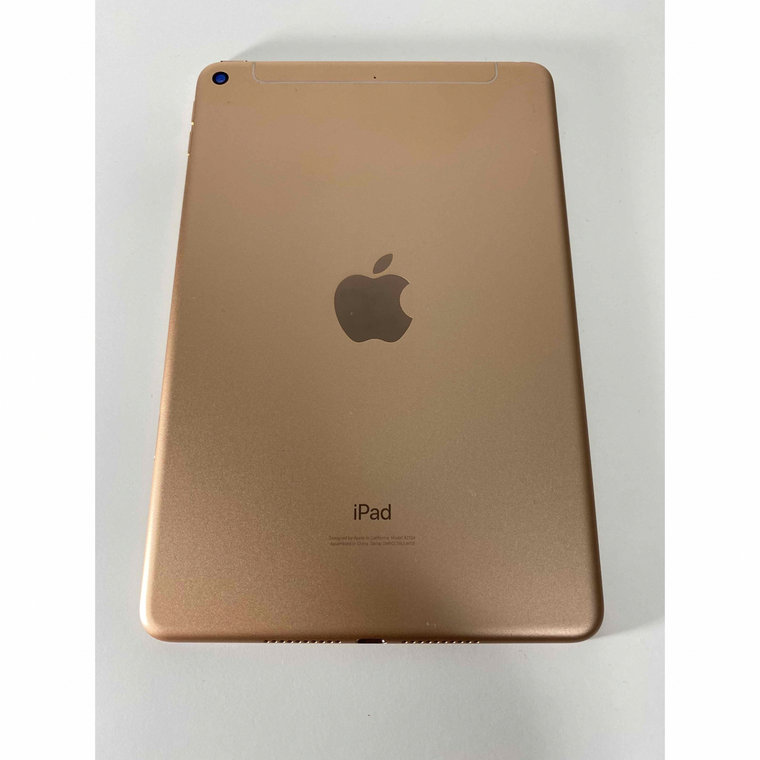 iPad mini 第5世代 wifi＋Cellular 64GB ジャンク - タブレット