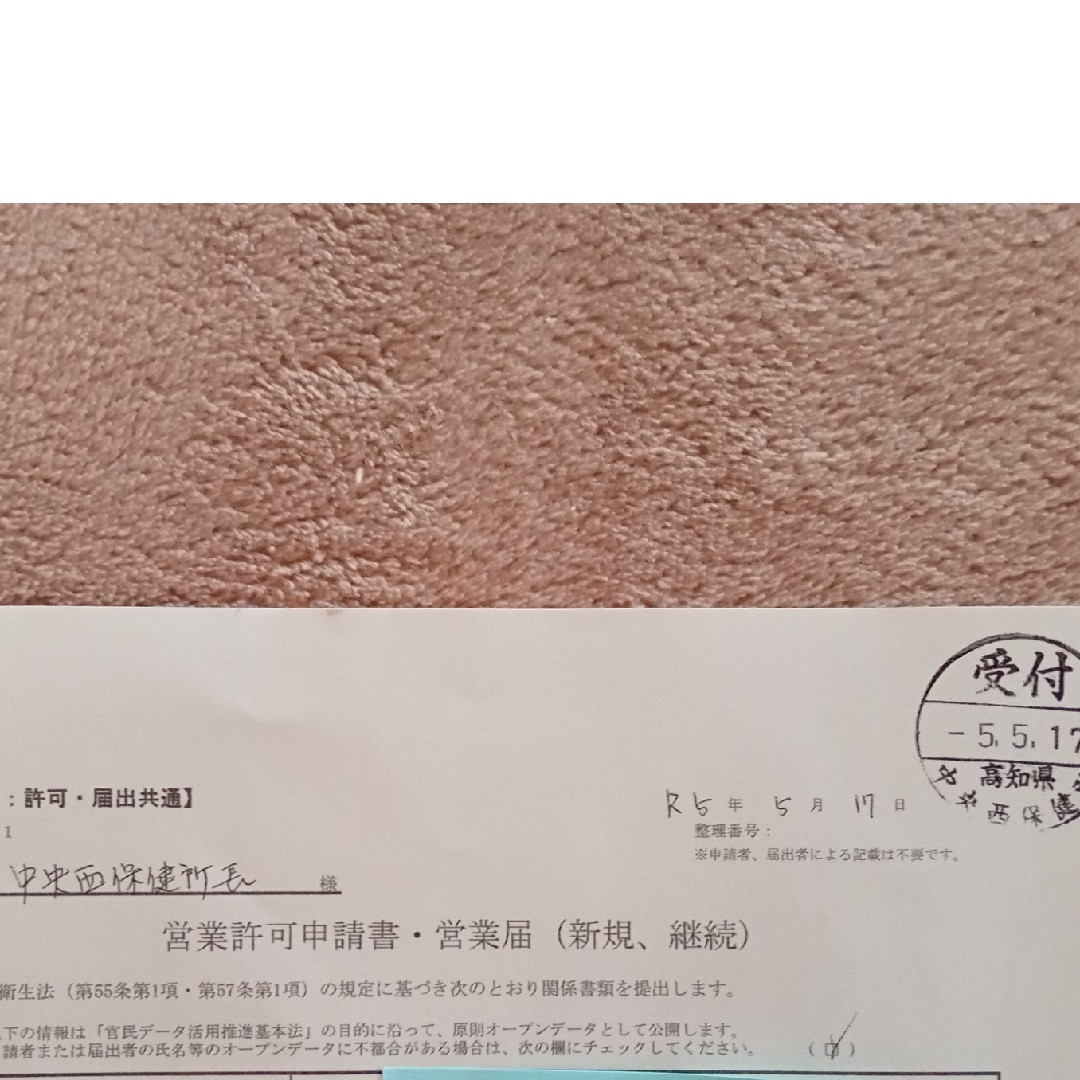 令和5年 高知県仁淀川町産 乾燥ぜんまい(大〜極太)100g