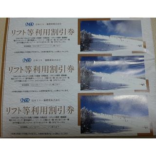 日本駐車場開発　株主優待　リフト等利用割引券 3枚(その他)