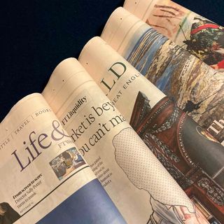 英字新聞FT サーモンピンク色　　　　　　　　　　20頁(見開き5枚)(印刷物)