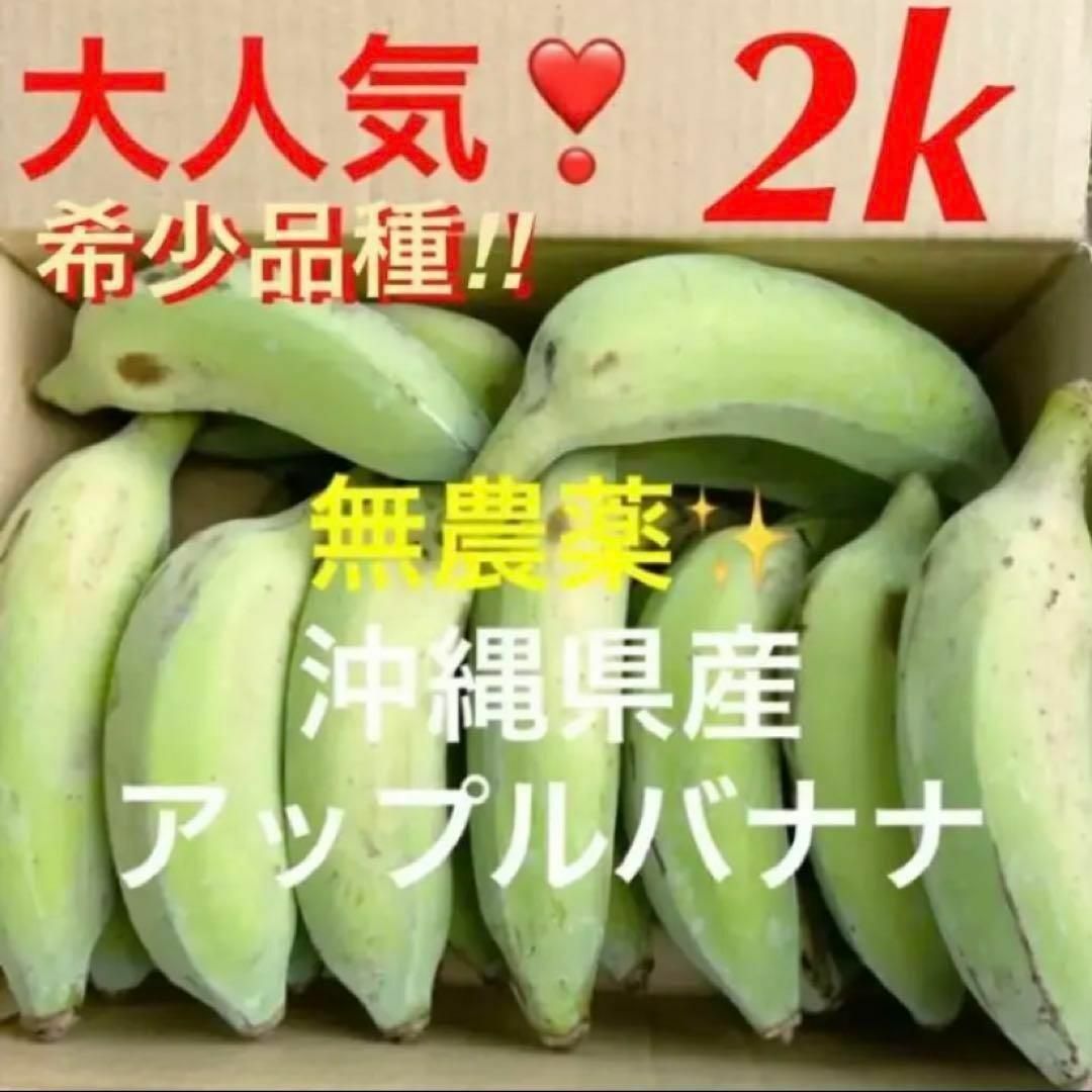 0718y①大人気❣️希少✨無農薬✨沖縄県産アップルバナナ✓箱別2k分