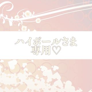 ハイボール様専用♡(その他)