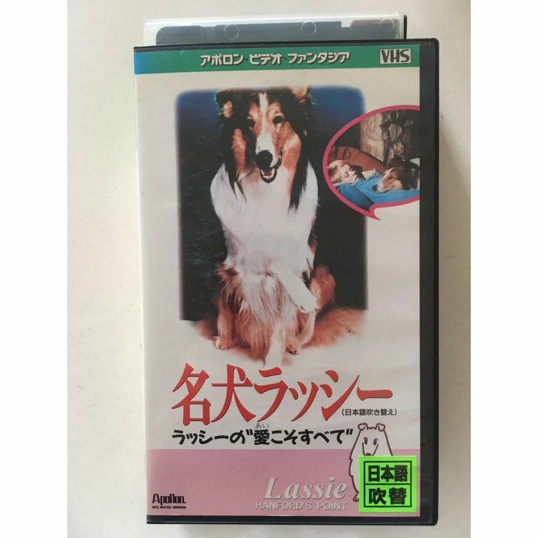 ☆中古ビデオ　名犬ラッシー　ラッシーの愛こそすべて　【日本語吹替】 エンタメ/ホビーのDVD/ブルーレイ(キッズ/ファミリー)の商品写真