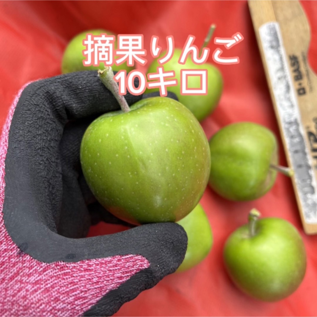 良好品】 大きめ 青森県産 摘果りんご 10キロ 送料無料 生食不可 摘果りんご 大きめ10キロ 送料込み