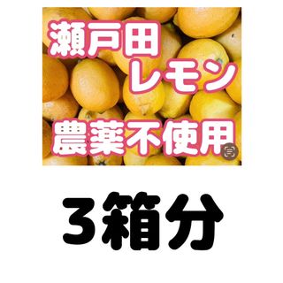 国産瀬戸田レモン農薬不使用3箱分(フルーツ)