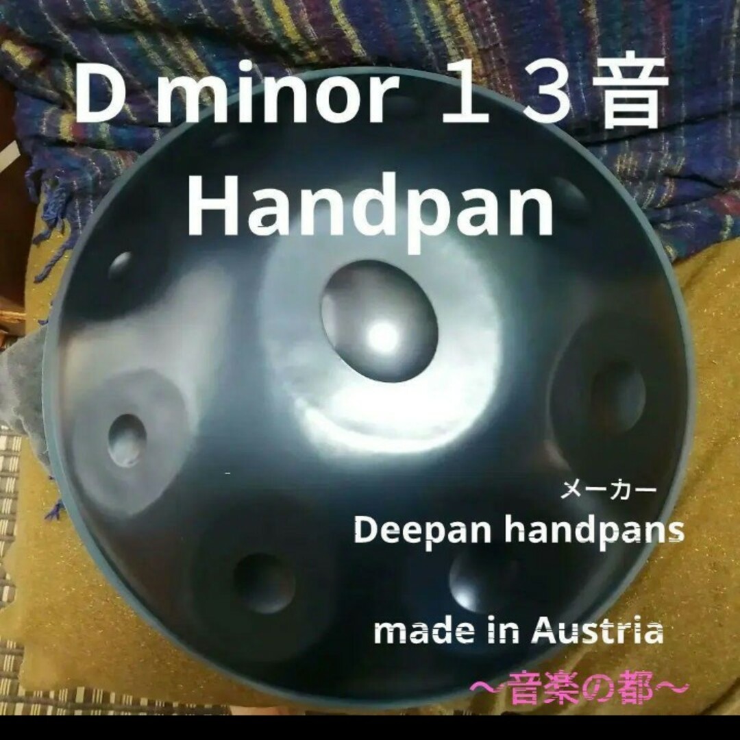 当店の記念日 ハンドパン １３音  Handpan　D kurd１３  Dマイナー その他
