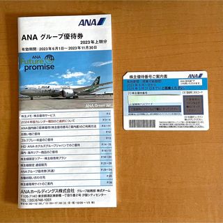 全日空ANA 株主優待券1枚＆ANAグループ優待券(その他)