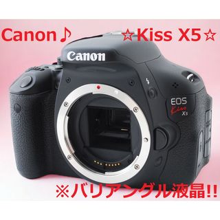 くすみ水色 【F105】Canon EOS KISS X5 Wレンズキット 一眼レフカメラ