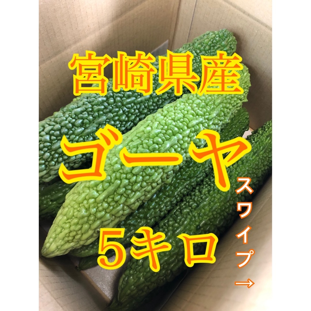 野菜　ゴーヤ　宮崎県産 食品/飲料/酒の食品(野菜)の商品写真