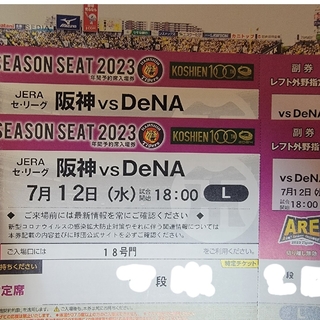 ハンシンタイガース(阪神タイガース)の阪神 VS DeNA 7月12日 レフト外野指定席 通路側2連席(野球)