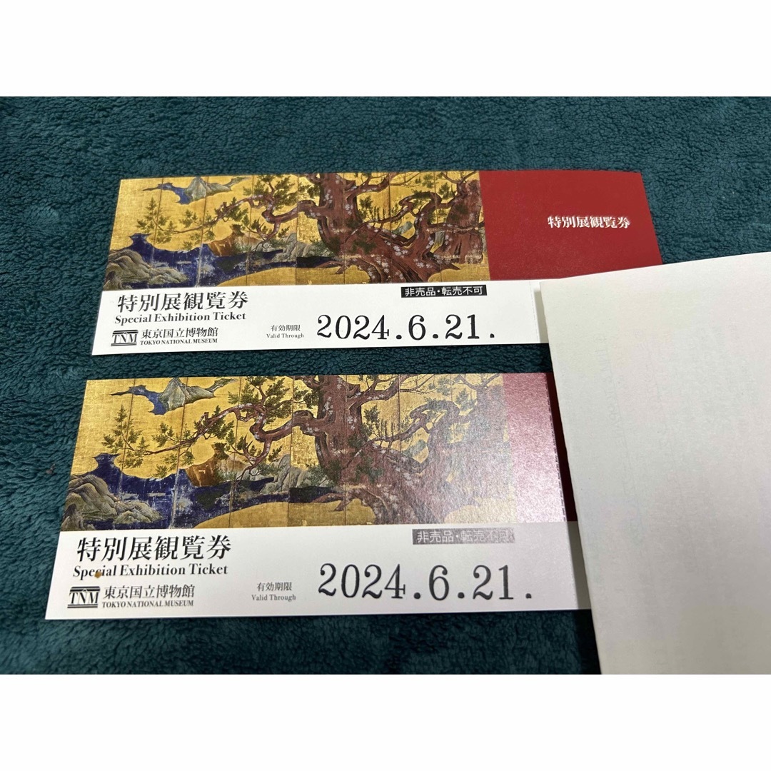【予約】 昆虫展 2枚セット ④
