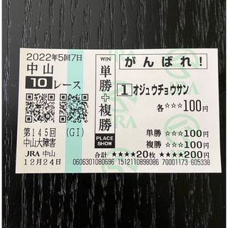 オジュウチョウサン　引退レース馬券(その他)