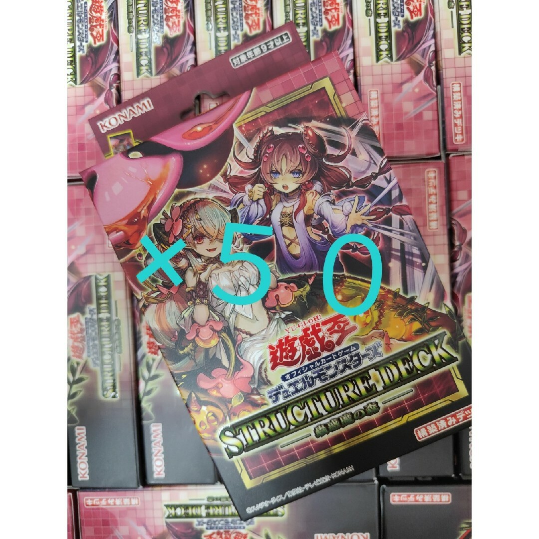 遊戯王　ストラクチャーデッキ　蠱惑魔の森　５０個　新品未使用