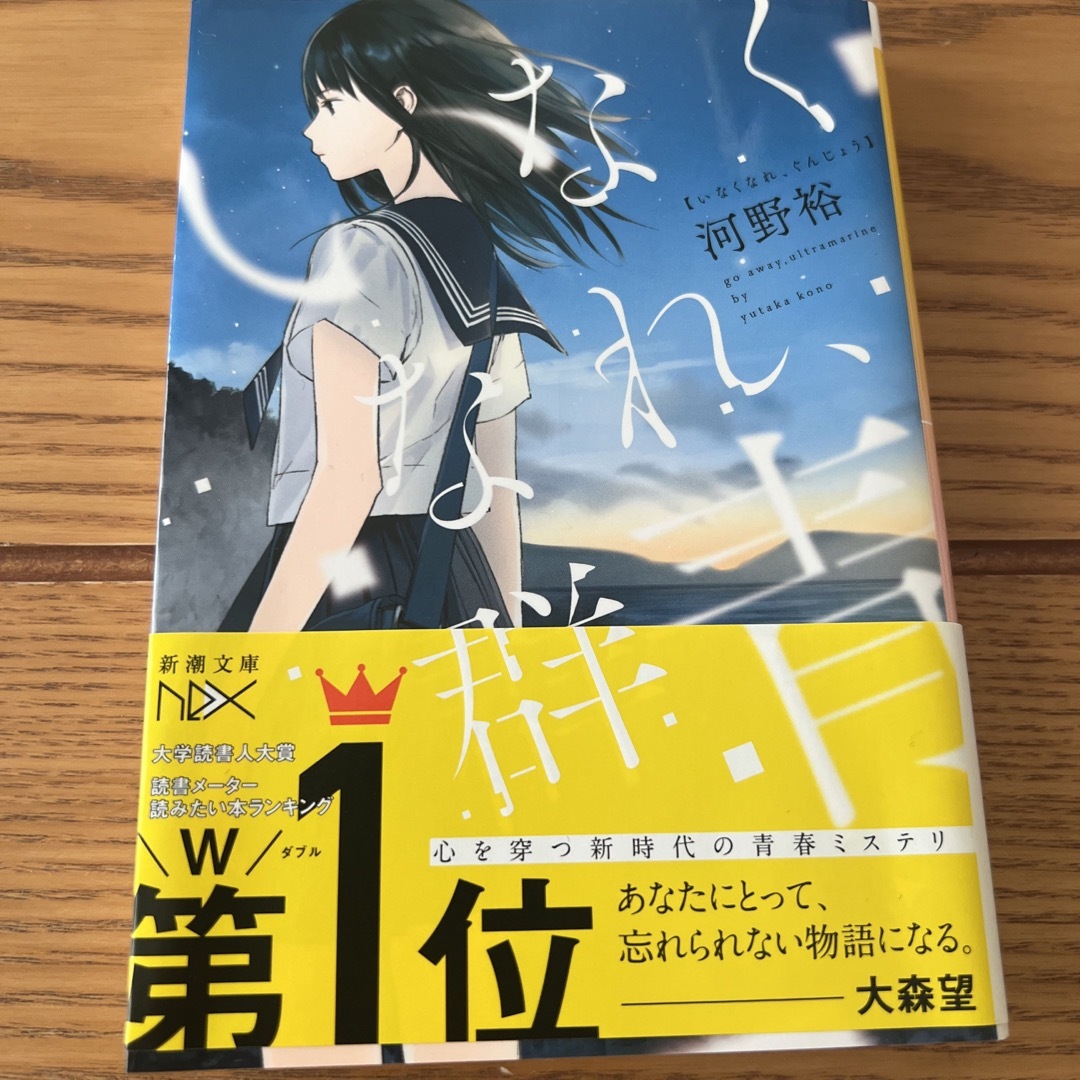 いなくなれ、群青 エンタメ/ホビーの本(その他)の商品写真