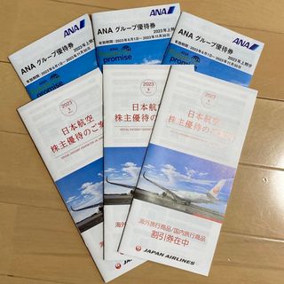 エーエヌエー(ゼンニッポンクウユ)(ANA(全日本空輸))のANA JAL 株主優待券 冊子 6冊セット　⑥(ショッピング)