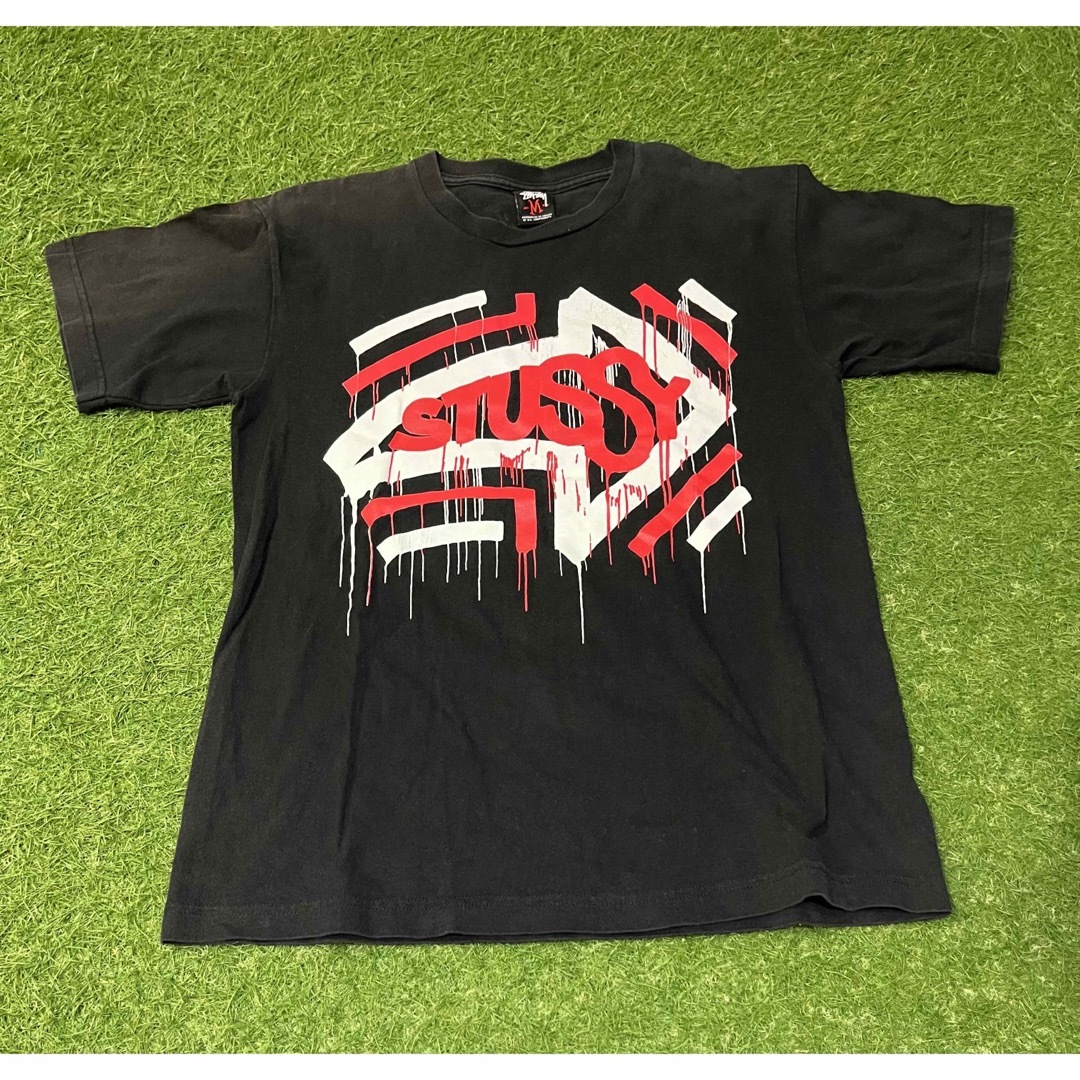 メキシコ製 ステューシー STUSSY ヘイズ Tee