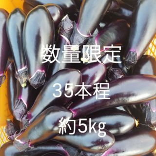 数量　限定　茄子　なす　5㎏　40本前後　訳あり　B級品(野菜)