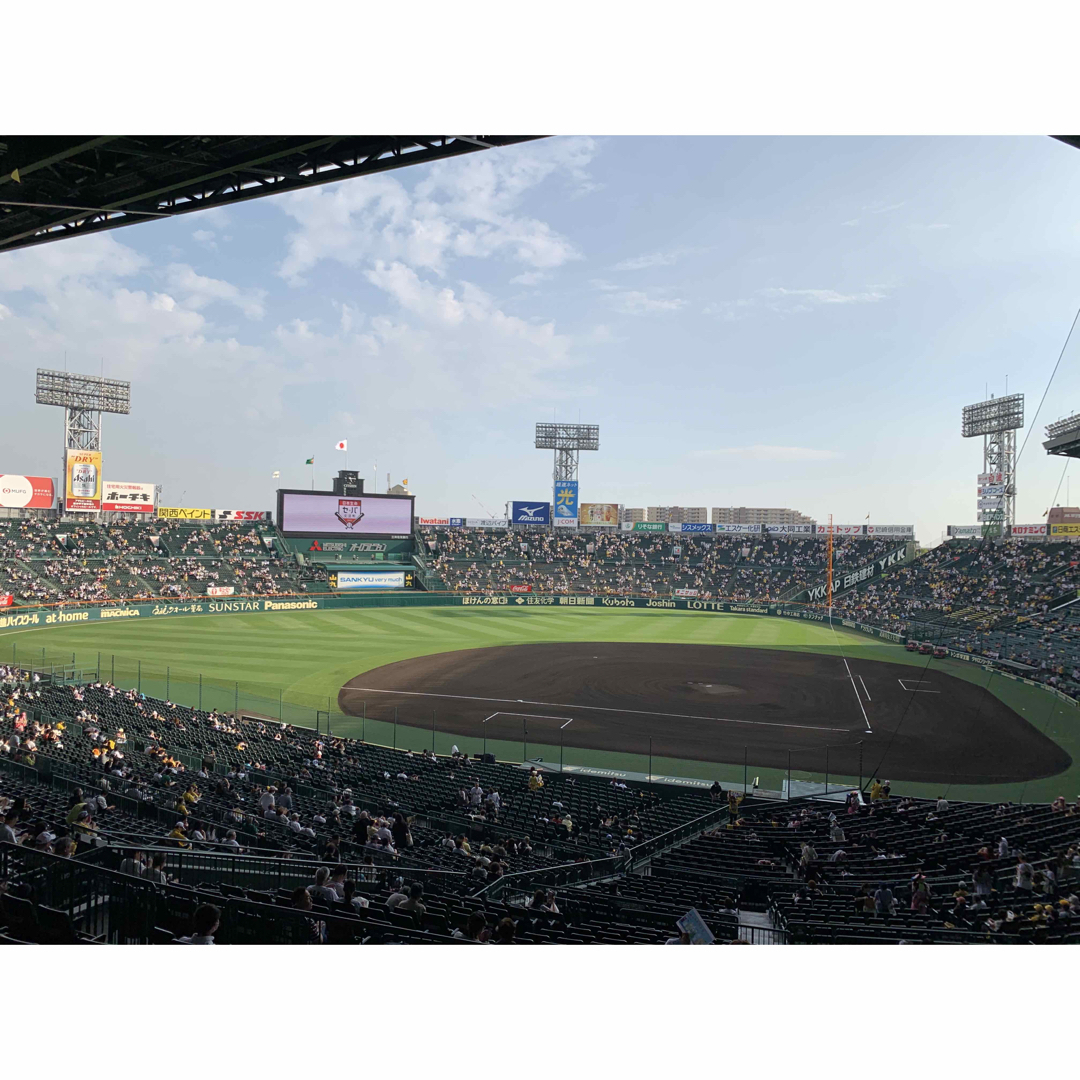 阪神タイガース(ハンシンタイガース)の7月15日　甲子園　阪神vs  中日　18時開始 グリーンシート　通路側2席 チケットのスポーツ(野球)の商品写真