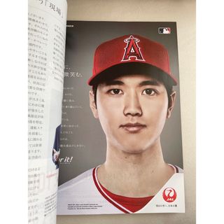 大谷翔平　広告(スポーツ選手)