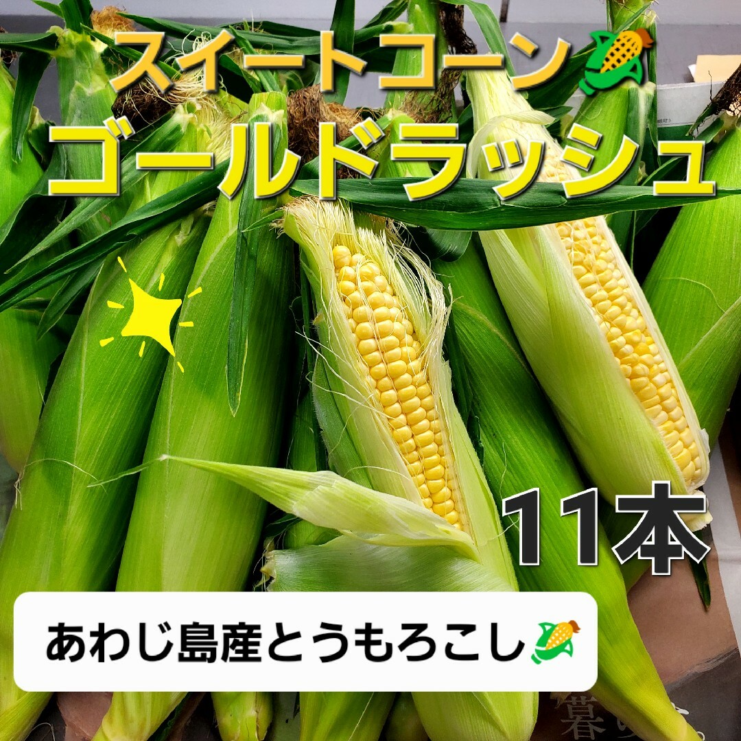 淡路島産とうもろこし🌽スイートコーン11本 食品/飲料/酒の食品(野菜)の商品写真