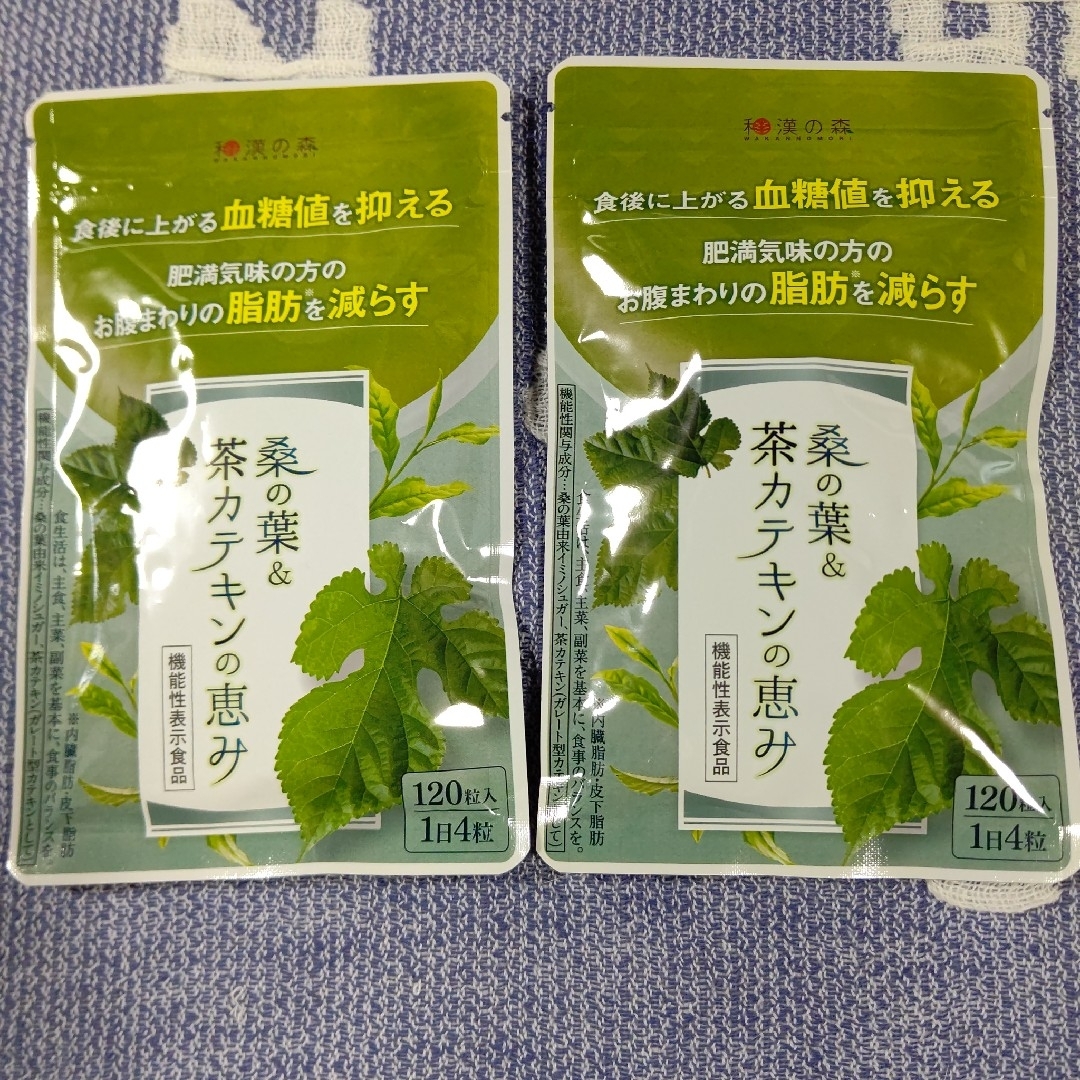 和漢の森 桑の葉&茶カテキンの恵み 120粒入 ×2袋