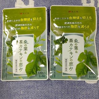 ワカンノモリ(和漢の森)の和漢の森 桑の葉&茶カテキンの恵み 120粒入 ×2袋(健康茶)