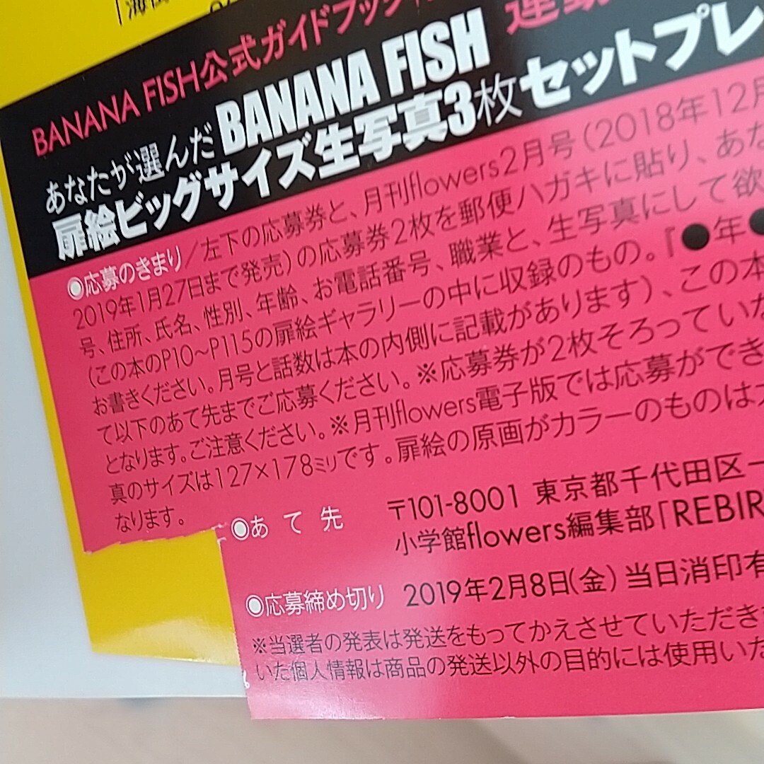 BANANA FISH(バナナフィッシュ)のBANANA FISHオフィシャルガイドブックREBIRTH 完全版 エンタメ/ホビーの本(アート/エンタメ)の商品写真