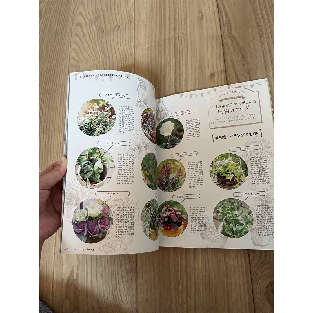 グリーン　植物　ガーデニング　本 エンタメ/ホビーの本(趣味/スポーツ/実用)の商品写真