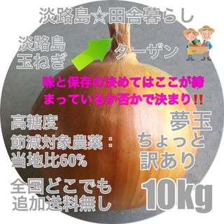 淡路島産玉ねぎ10kg ターザン ちょっと訳あり品 減農薬農薬 高糖度 夢玉 (野菜)