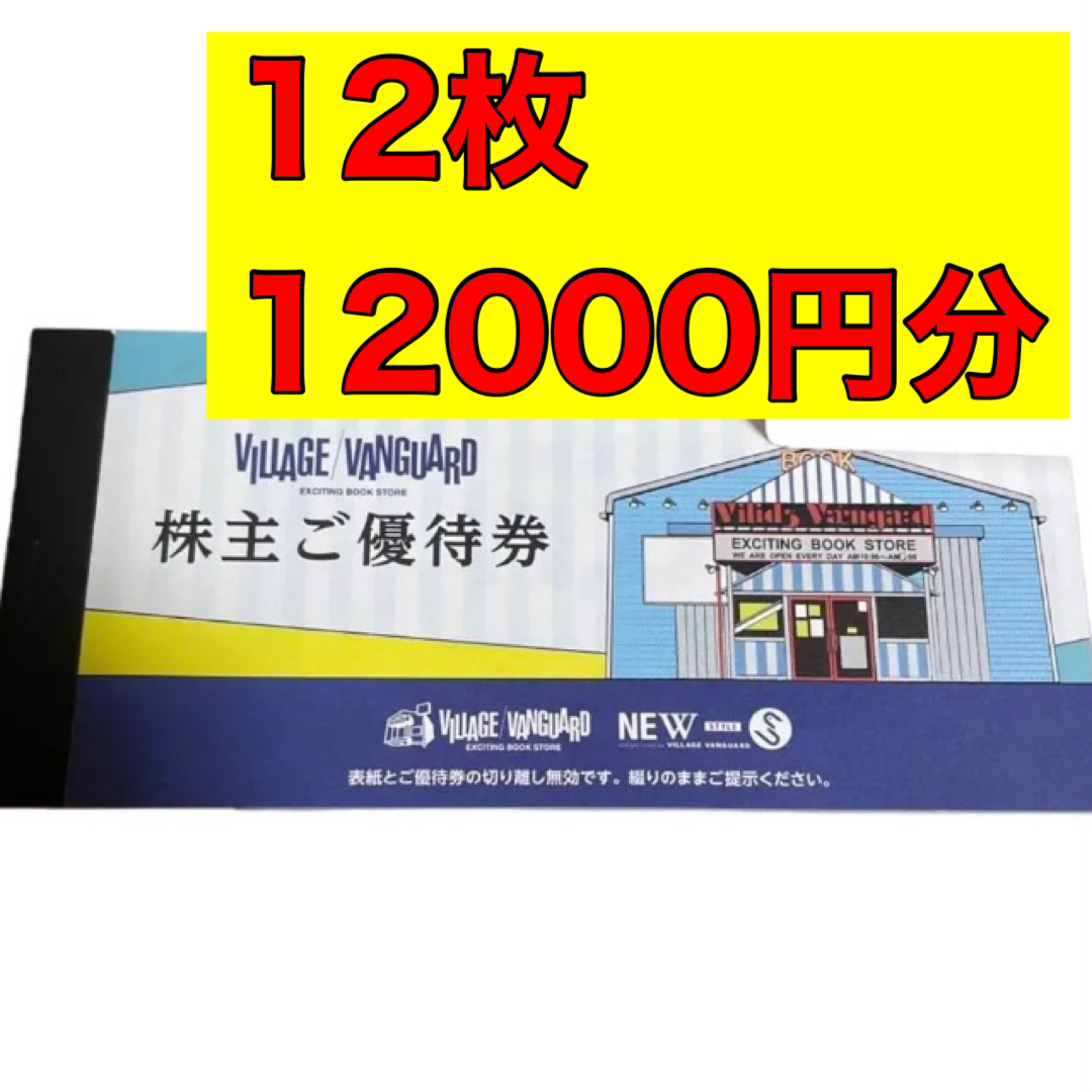 ヴィレッジヴァンガード ヴィレヴァン 株主優待券 12枚 12000円分