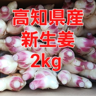 農家直送　高知県産新生姜　2kg(野菜)