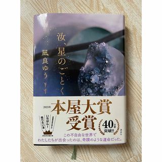 汝、星のごとく(文学/小説)