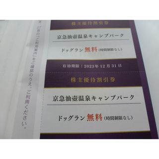 京急油壺温泉キャンプパーク ドッグラン無料 時間制限なし 2枚(その他)