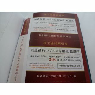 油壺温泉 ホテル京急油壺 観潮荘 30%優待券 2枚 2023年12月31日まで(その他)