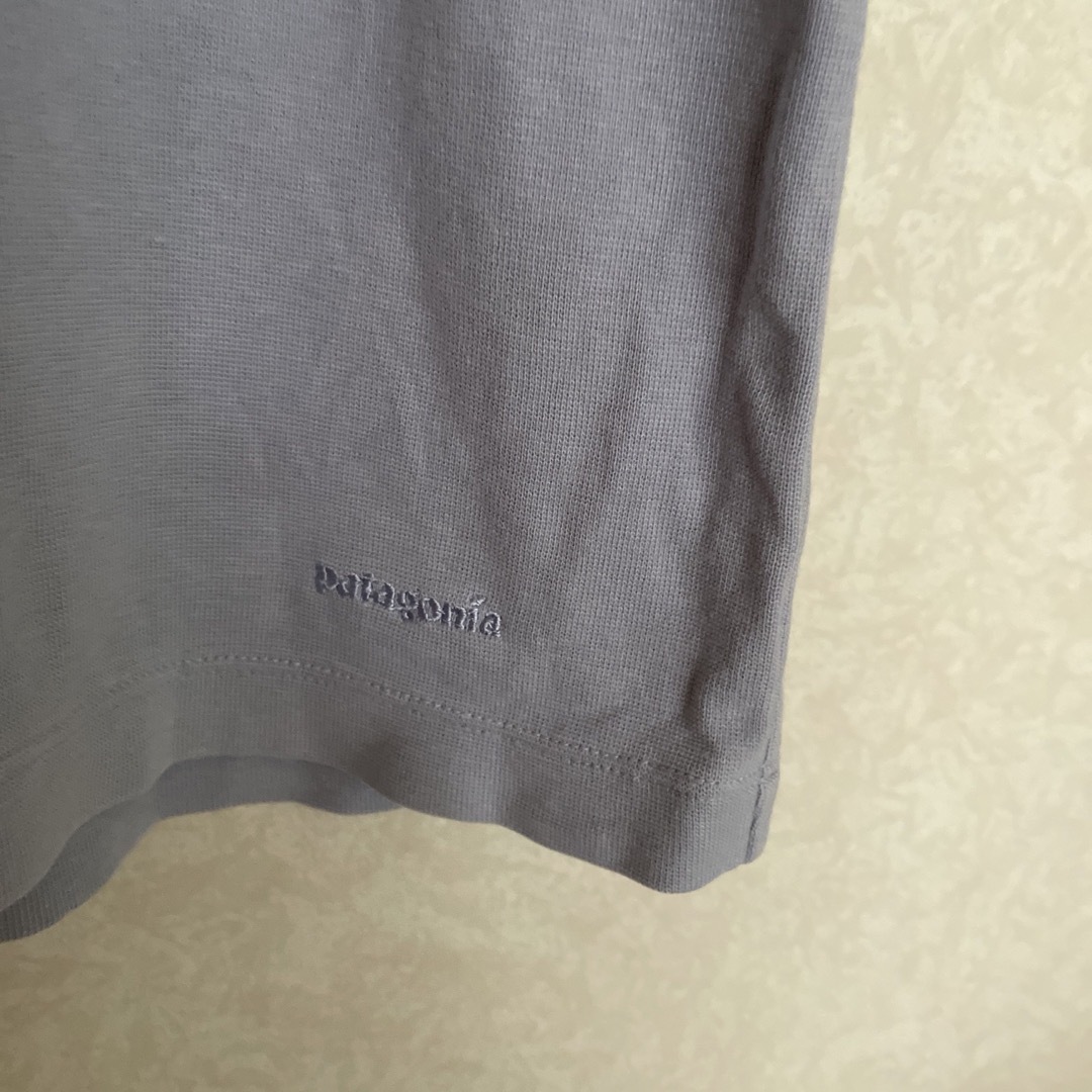 patagonia(パタゴニア)のパタゴニア半袖Ｔシャツ メンズのトップス(Tシャツ/カットソー(半袖/袖なし))の商品写真