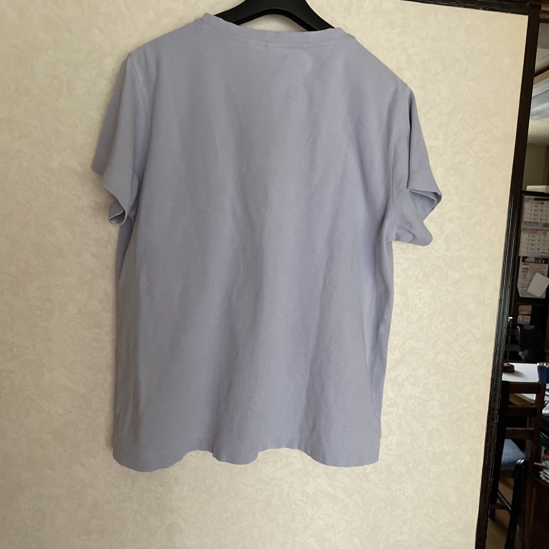 patagonia(パタゴニア)のパタゴニア半袖Ｔシャツ メンズのトップス(Tシャツ/カットソー(半袖/袖なし))の商品写真