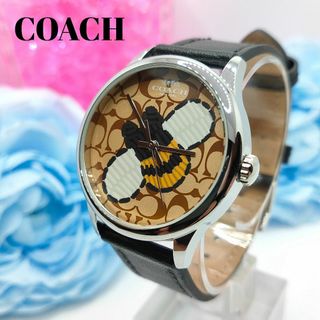 COACH - COACH コーチ ハチ柄 レディース腕時計 シグネチャー 革ベルト