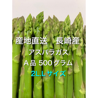 産直長崎産アスパラガス2L.Lサイズ 500グラム(野菜)
